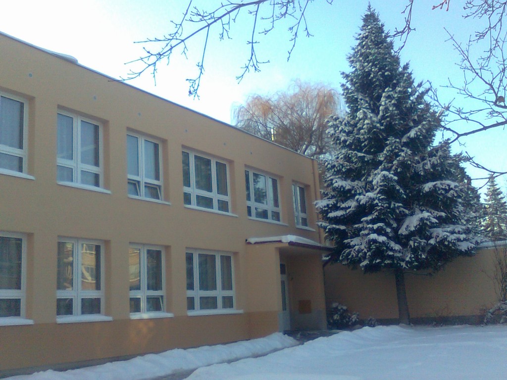 knihovna zima